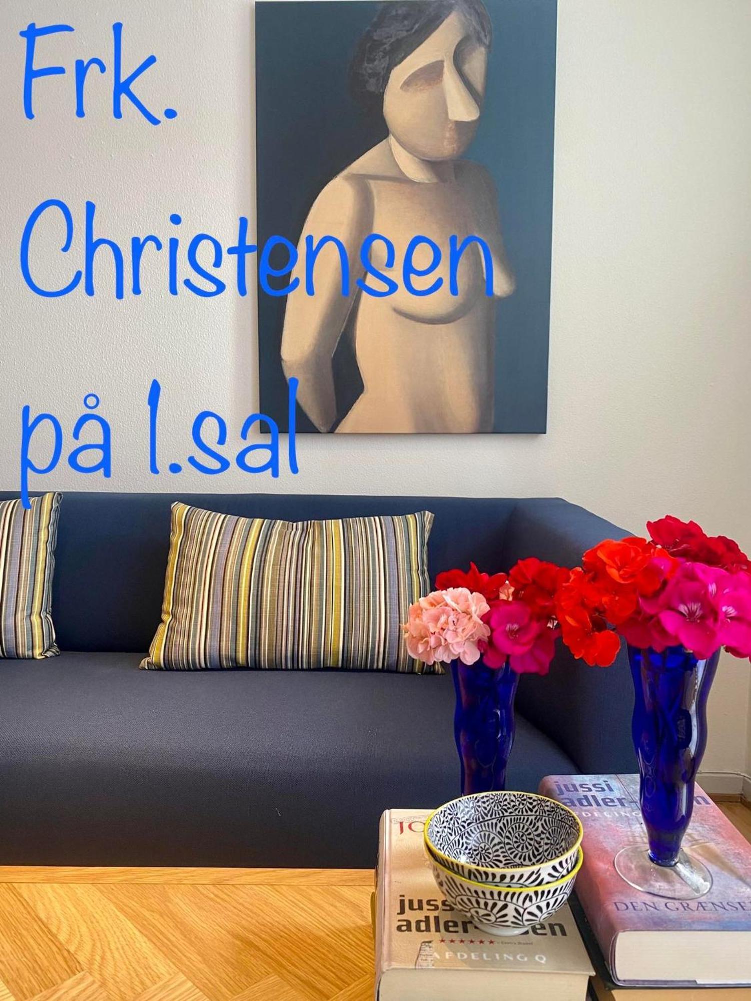 Skuespiller Centralen Viborg Bagian luar foto